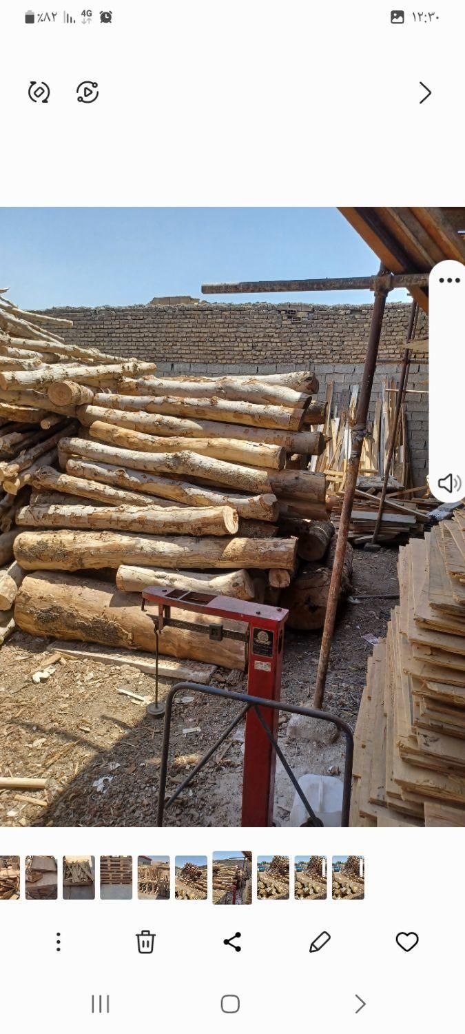 خرید وفروش انواع چوب وتخته و سه لایی پالت چوبی|عمده‌فروشی|تهران, شهرک ولیعصر|دیوار