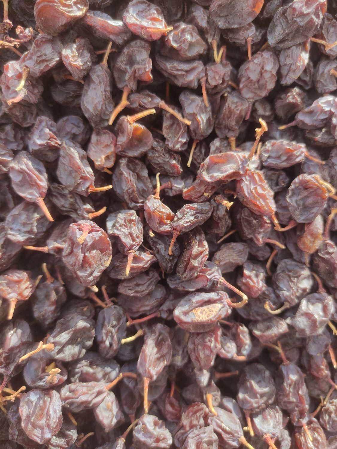 مویز پاک شده درجه 1|خوردنی و آشامیدنی|شیراز, دباغ خانه|دیوار