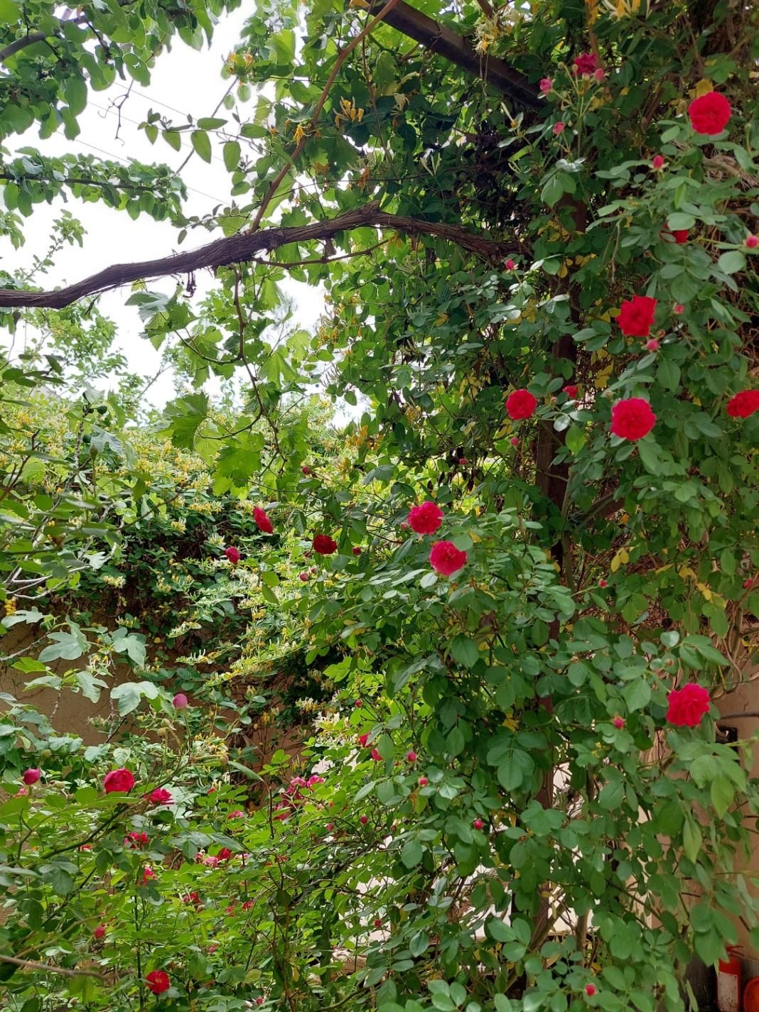 تصویر 7