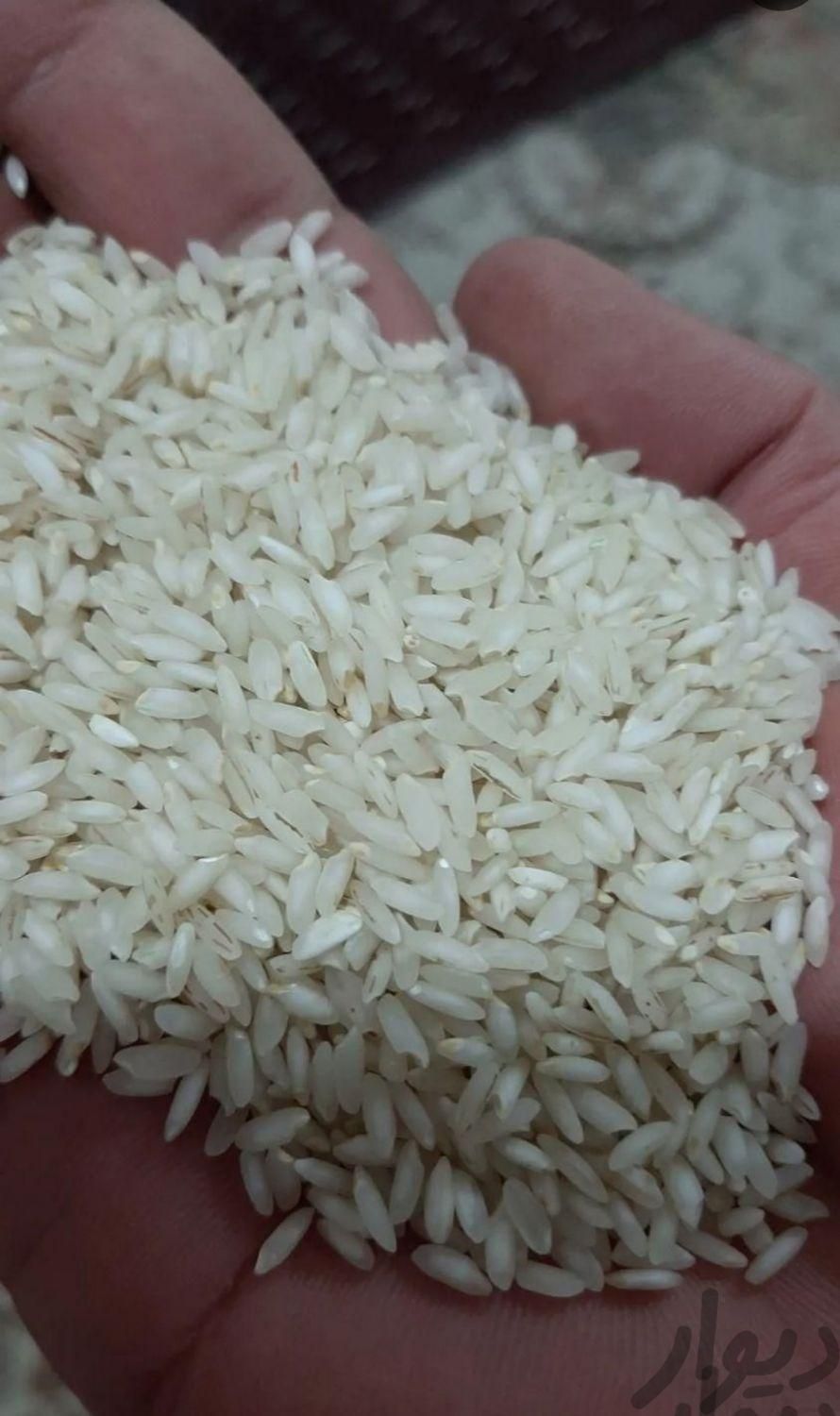 برنج چمپا خوشپخت کیفیت|خوردنی و آشامیدنی|اهواز, کوی مهدیس|دیوار