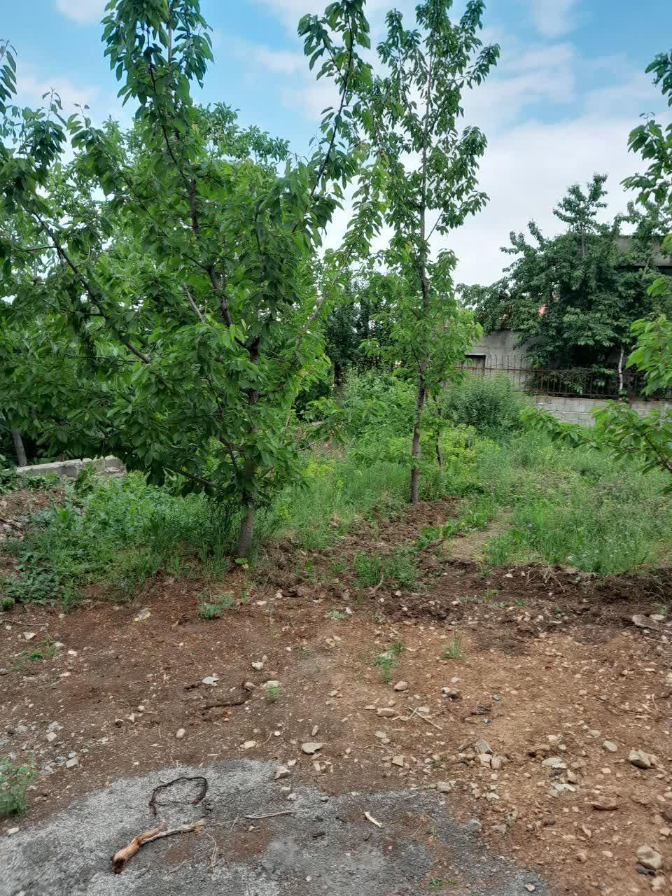زمین با جواز ساخت ...روستای خور تاپ لوکیشن|فروش زمین و ملک کلنگی|آسارا, |دیوار