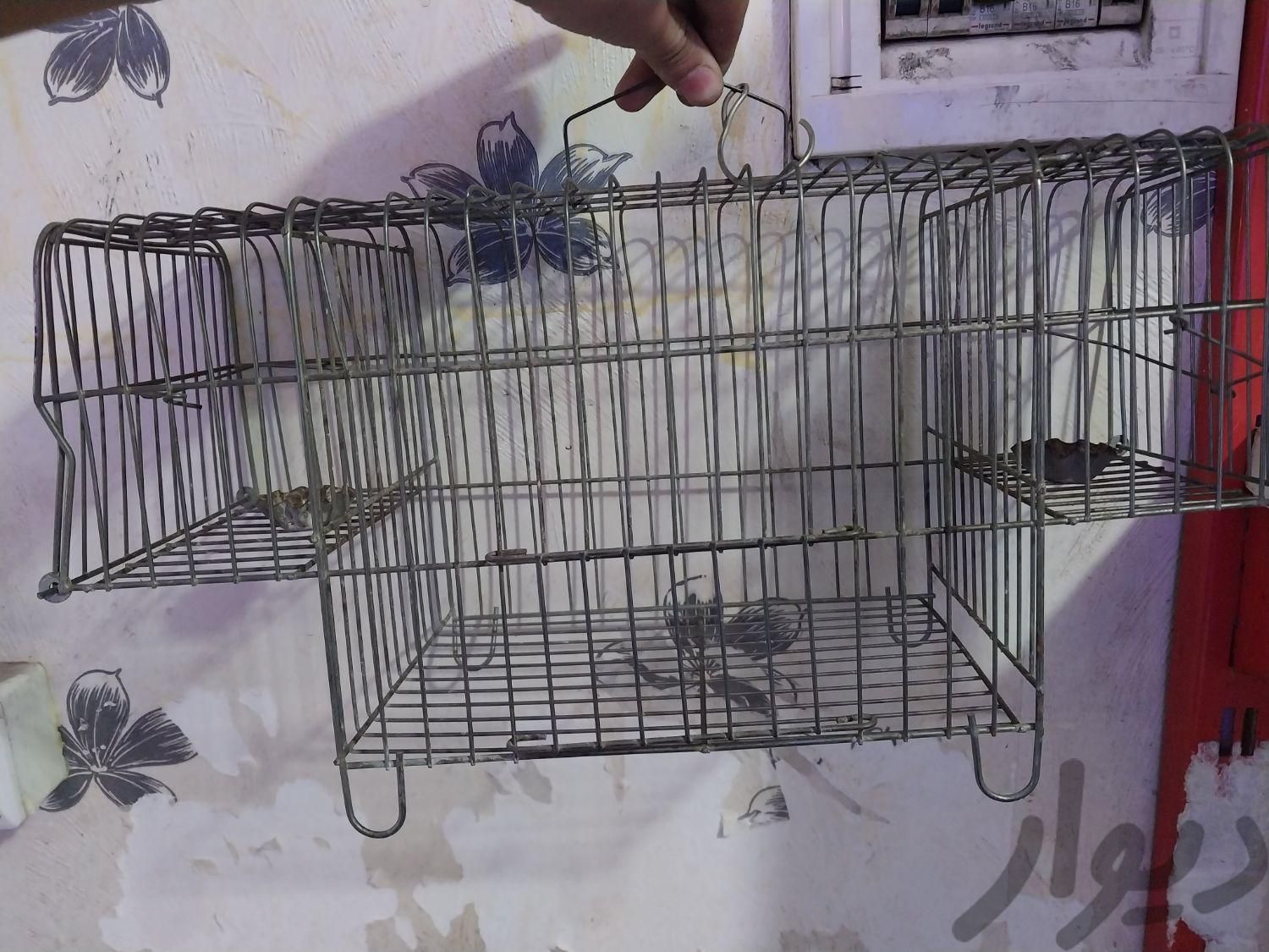 قفس پرنده|لوازم جانبی مربوط به حیوانات|تهران, لشکر|دیوار