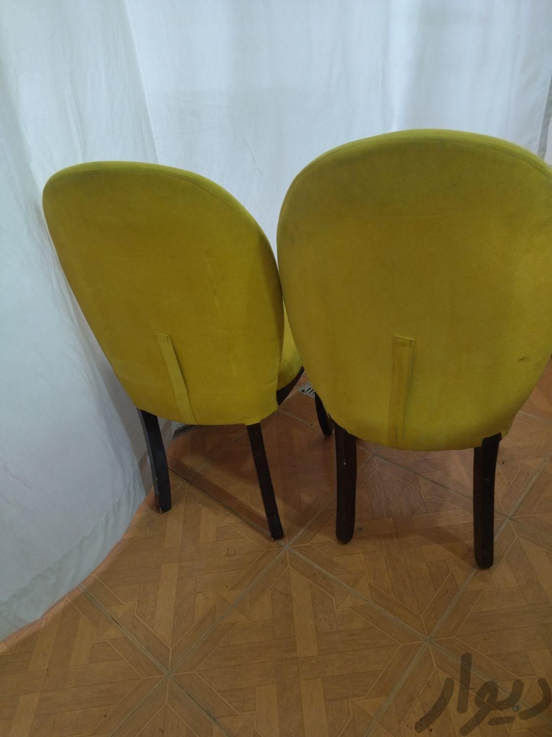 دو عدد صندلی در حد نو|صندلی و نیمکت|تهران, تولید دارو|دیوار