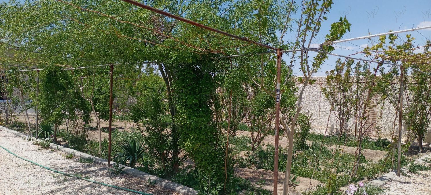 باغ شیک و مجلسی با درخت و آب شیرین در تیمیارت|فروش خانه و ویلا|اصفهان, باغ زیار|دیوار