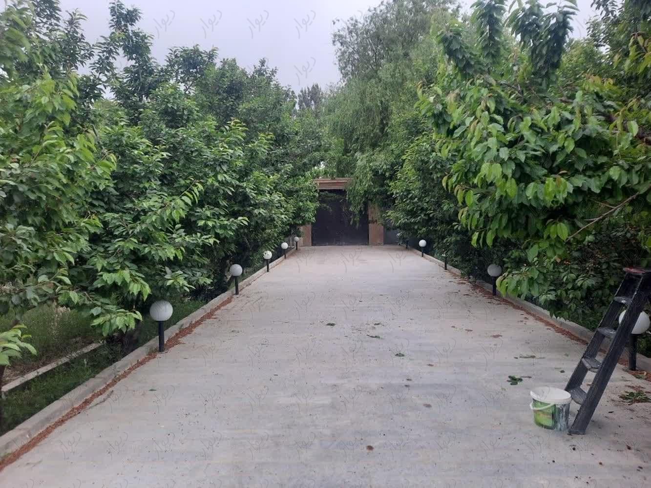 باغ ویلا با درختان مثمر . روبه روی چشمه گیلاس|فروش خانه و ویلا|مشهد, محله نان رضوی|دیوار