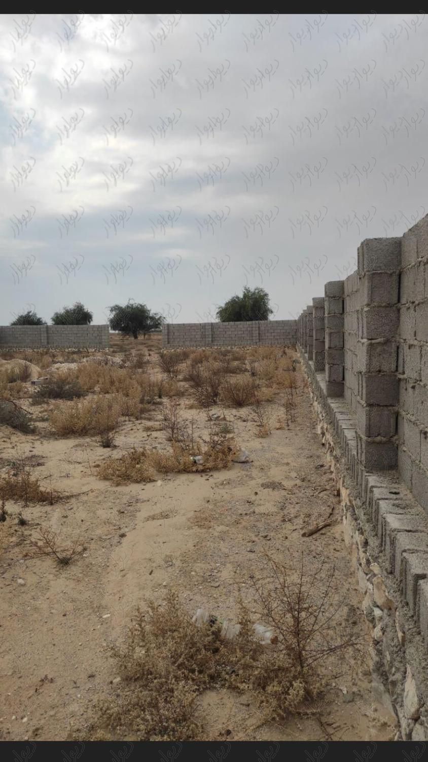 زمین چاهپیر|فروش زمین و کلنگی|بوشهر, |دیوار