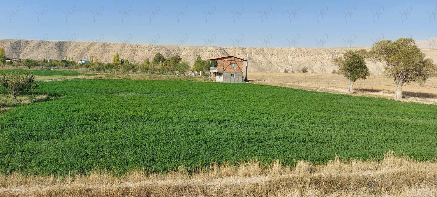فروش ۳۸۰۰ متر زمین روستای حسن اباد فیروزکوه|فروش دفاتر صنعتی، کشاورزی و تجاری|فیروزکوه, |دیوار