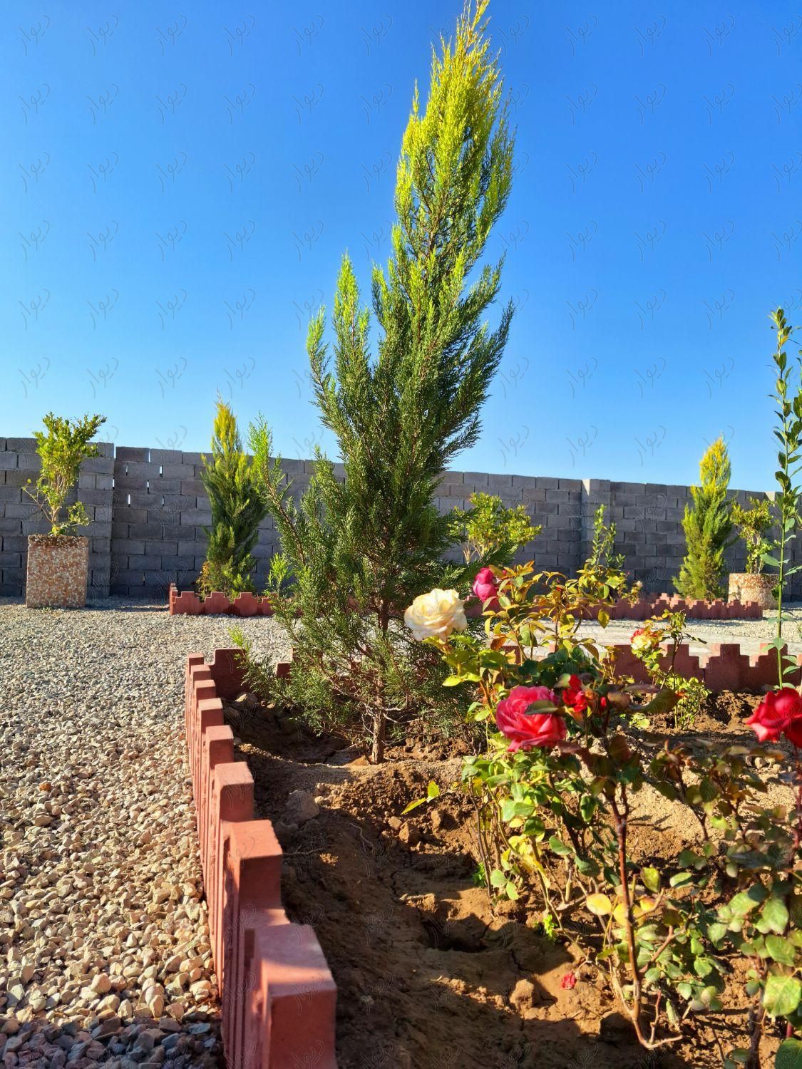 زمین و باغچه ۳۰۵ متر ۴دیوار دنج و با اصالت|فروش زمین و کلنگی|تهران, یافت‌آباد|دیوار