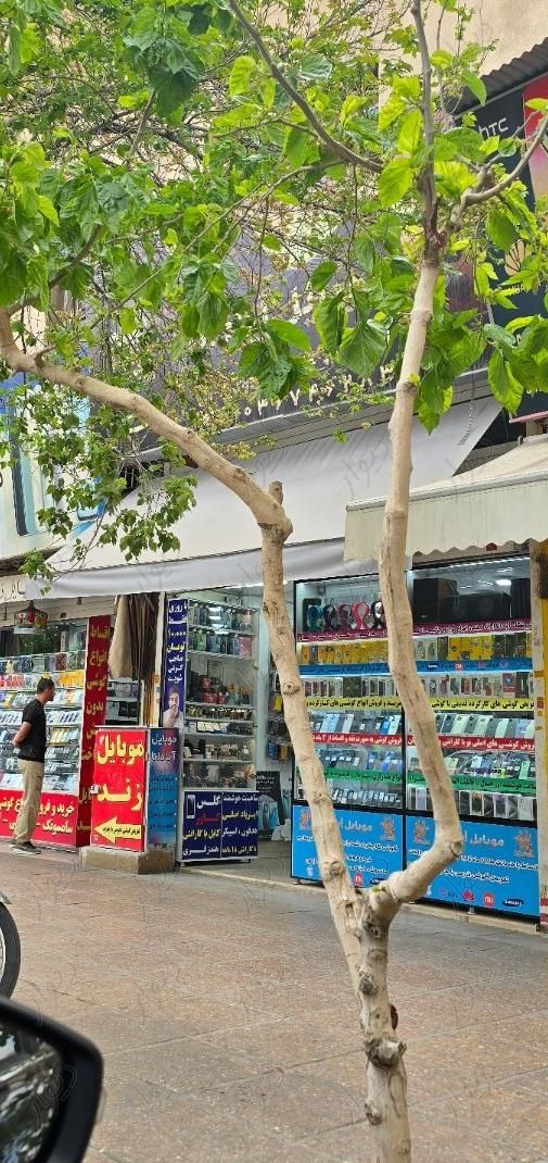 اجاره مغازه  بر رو داریوش|اجارهٔ مغازه و غرفه|شیراز, زند|دیوار
