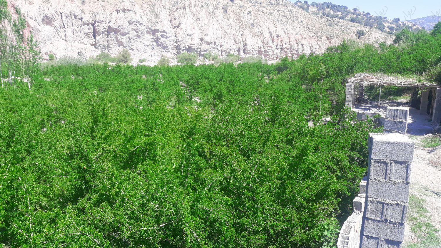 باغ کوهمره سرخی|فروش خانه و ویلا|شیراز, محمدیه|دیوار