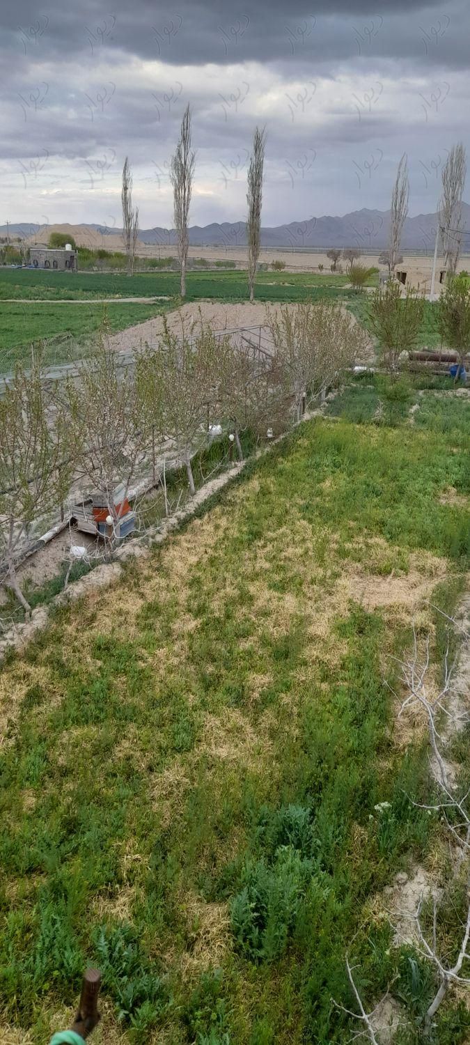 گلپایگان - زمین کشاورزی|فروش زمین و کلنگی|تهران, نارمک جنوبی|دیوار