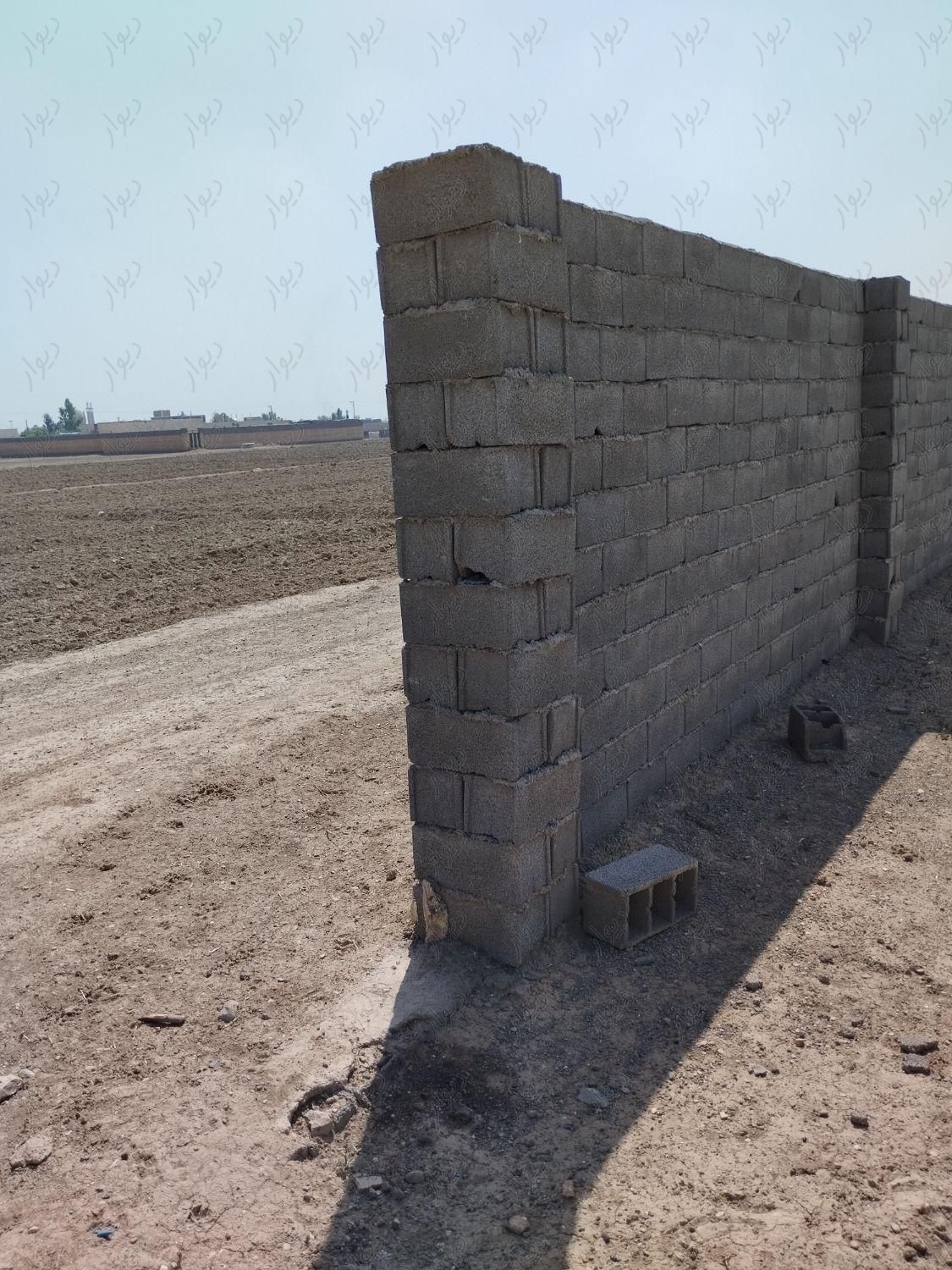 زمین چهار دیواری 600متر روستای کاج|فروش زمین و کلنگی|اصفهان, روشن‌دشت|دیوار