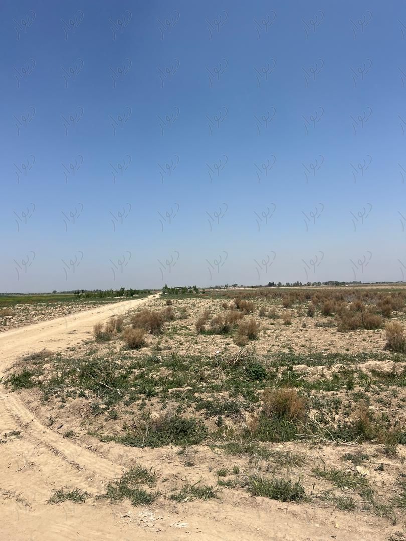 ۲۰۰متر زمین با آب|فروش زمین و کلنگی|کرج, دولت‌آباد|دیوار