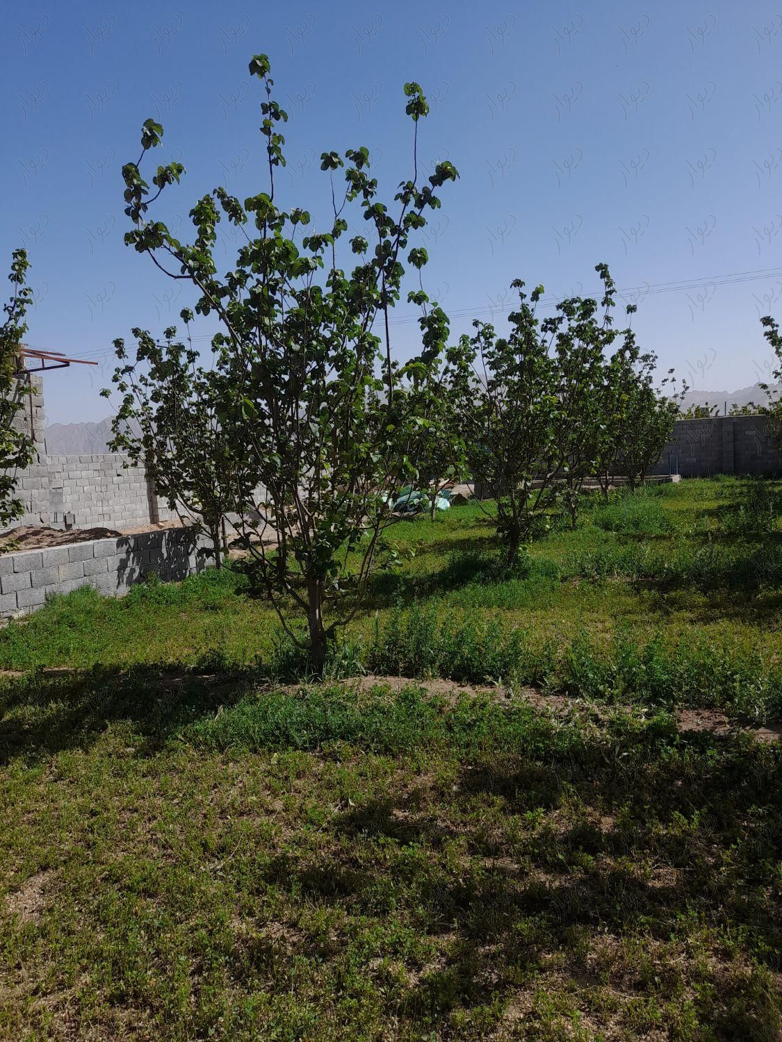 باغ آچیلی|فروش خانه و ویلا|اصفهان, بهارستان|دیوار