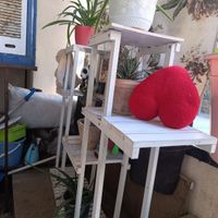 جا گلدوین دکوراسیون بوفه گلدون|صنایع دستی و سایر لوازم تزئینی|تهران, نعمت‌آباد|دیوار