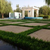 اسیا/ چمن مصنوعی/ پخش عمده شیراز وجنوب کشور|خدمات باغبانی و درختکاری|شیراز, ریشمک|دیوار