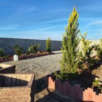 باغ باغچه چهار دیواری 250 متر چسب بافت|فروش زمین و کلنگی|تهران, عبدل‌آباد|دیوار