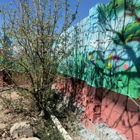 باغچه ۲۰۰متری|فروش زمین و کلنگی|تهران, افسریه|دیوار