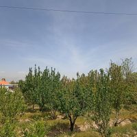 باغ 500 متری در ابراهیم بیگی|فروش زمین و کلنگی|تهران, شهرک صدرا|دیوار