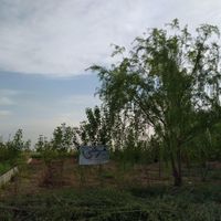 ۳۰۰متر زمین باغچه ای|فروش زمین و کلنگی|تهران, کاروان|دیوار