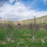 فروش  باغ با ویلا واقع در فیروزکوه روستای طارس|فروش خانه و ویلا|فیروزکوه, |دیوار