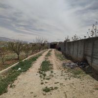 باغ میوه آبسرد زان|فروش زمین و کلنگی|تهران, تهران‌نو|دیوار