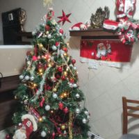 درخت کریسمس|کلکسیون و سرگرمی|نظرآباد, |دیوار