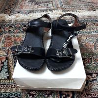 کفش مجلسی|کیف، کفش و کمربند|شیراز, ابونصر|دیوار