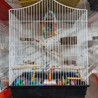 قفس پرنده عروس هلندی کاسکوطوطی کوتوله‌‌‌ومینا|لوازم جانبی مربوط به حیوانات|اصفهان, صفه|دیوار
