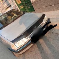 405 نقره ای بدون رنگ پلمپ|خودرو سواری و وانت|تهران, شمیران‌نو|دیوار