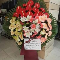 تاج گل برای عرض تبریک افتتاحیه نمایشگاه|گل و گیاه طبیعی|تهران, شهرک محلاتی|دیوار