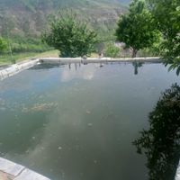 باغ ویلا کوهستانی|فروش خانه و ویلا|تهران, جابری|دیوار