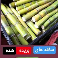 ملاس نیشکر|عمده‌فروشی|تهران, آرژانتین|دیوار