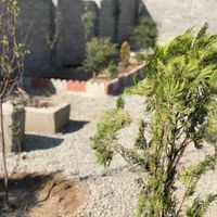 باغ باغچه ۳۱۵ متری دست اول خوشقواره با صفا|فروش زمین و کلنگی|تهران, شهرک ولیعصر|دیوار