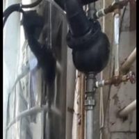 کارواش نانوبخار۳۰۰|ماشین‌آلات صنعتی|تهران, خواجه نصیر طوسی|دیوار
