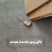 مرگ موش قوی بد کت موم بلوک|لوازم نظافت|تهران, تجریش|دیوار