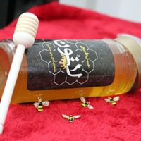 عسل / عسل طبیعی / عسل کوهستان|خوردنی و آشامیدنی|مشهد, شهید آوینی|دیوار