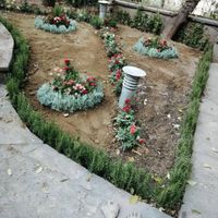 خدمات باغبانی باغچه کاری گلکاری درختکاری خاک گلدون|خدمات باغبانی و درختکاری|تهران, گیشا (کوی نصر)|دیوار