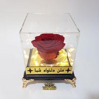گل رز جاویدان درانواع رنگ ها و دیزاین روز دختر|گل و گیاه طبیعی|تهران, میدان ولیعصر|دیوار
