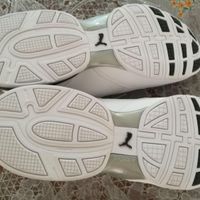 فروش یک جفت کفش پوما اصل اورجبنال|کیف، کفش و کمربند|شیراز, ابونصر|دیوار