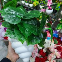 گلدان صدفی گل مصنوعی|گل مصنوعی|تهران, بلورسازی|دیوار