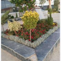 خدمات باغبانی و گل کاری تمام نقاط تهران|خدمات باغبانی و درختکاری|تهران, آبشار تهران|دیوار