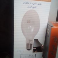 انواع لامپهای گازی و خیاری در ولتاژهای مختلف|لامپ و چراغ|اهر, |دیوار
