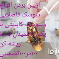 سمپاشی.صدردصدتضمینی سم پاشی سوسک وساس و...|خدمات نظافت|تهران, آذری|دیوار