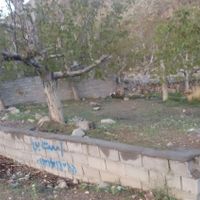 فروش باغ در بیدخوان بردسیر|فروش خانه و ویلا|کرمان, |دیوار