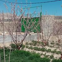 باغ سند دار مناسب ویلا، گلخانه و مصارف صنعتی|فروش زمین و کلنگی|اصفهان, کشاورزی|دیوار