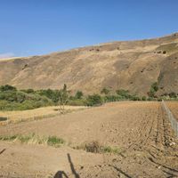 زمین باغ کشاورزی جاده نران ۳۸۰۰متر|فروش دفتر صنعتی، کشاورزی، تجاری|کامیاران, |دیوار