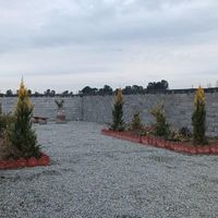 240 متر باغچه چهار دیواری سند دار|فروش زمین و کلنگی|تهران, زمزم|دیوار