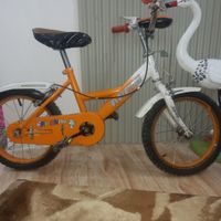 دوچرخه ۱۶|دوچرخه، اسکیت، اسکوتر|کرج, شاهین‌ویلا|دیوار