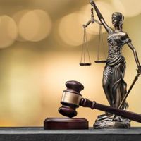وکیل ، پذیرش وکالت در مراجع قضایی